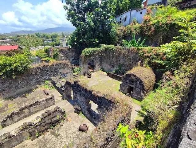 Ruines de Saint-Pierre envahies par la végétation